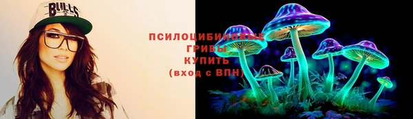 мет Осинники