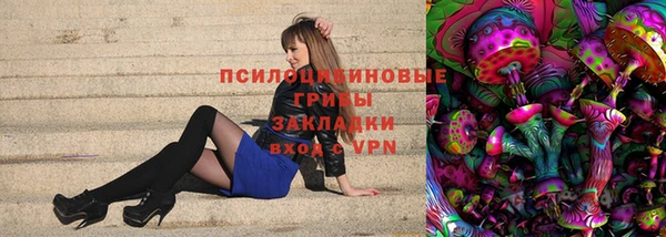 дживик Болохово