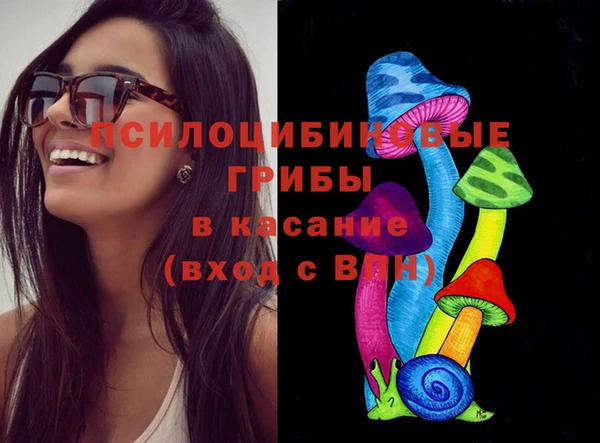 прущие грибы Абдулино