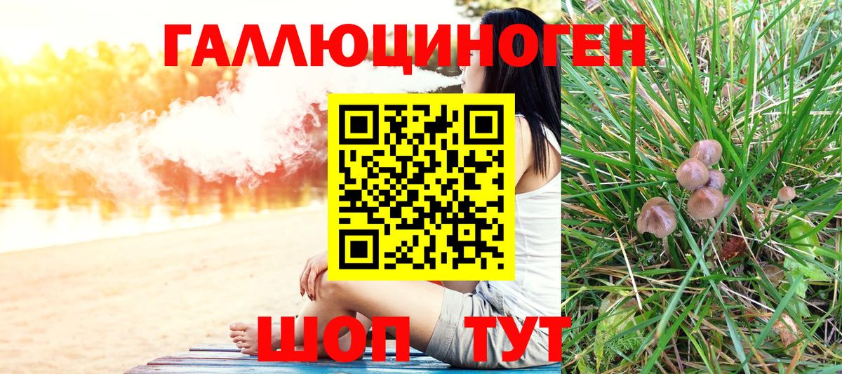 Псилоцибиновые грибы Psilocybe Братск