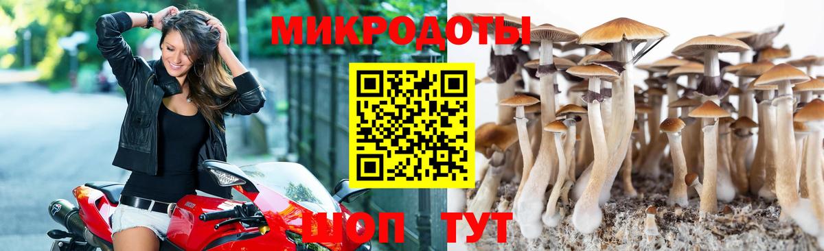 Псилоцибиновые грибы Cubensis  Вход с VPN  Псилоцибиновые грибы Magic Shrooms  Братск 